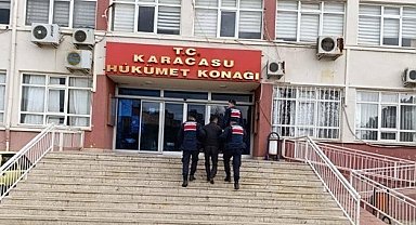 Karacasu'da ruhsatsız silahlar ve tarihi eserler ele geçirildi