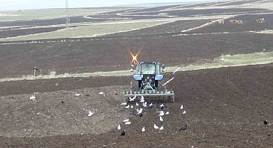 Kars'ta kış uzadı, ekim gecikti: Çiftçi zamanla yarışıyor