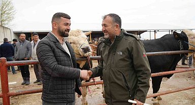 Kastamonu'da Kurban Bayramı hareketliliği: 850 kilogramlık tosun 340 bin liraya alıcı buldu