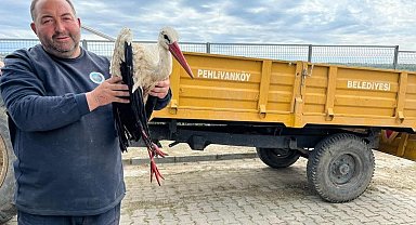 Kırklareli'de yaralı leyleğe şefkat eli