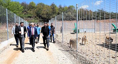 Kocaeli'de 650 köpek kapasiteli yeni barınak hizmete alındı
