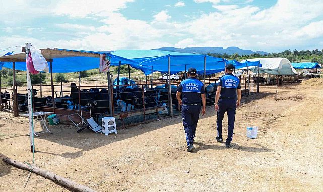 Mezitli'de Kurban Bayramı öncesi sıkı denetim