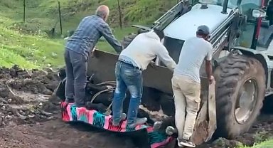 Siirt'te kaybolan büyükbaş hayvan çamura saplanmış halde bulundu