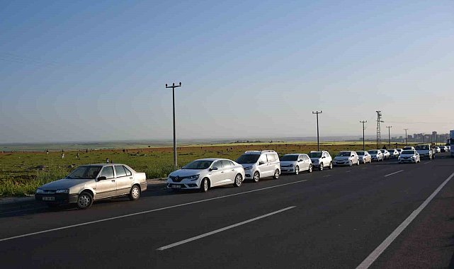 Siverek'te gelincik tarlaları binlerce kişinin uğrak noktası haline geldi