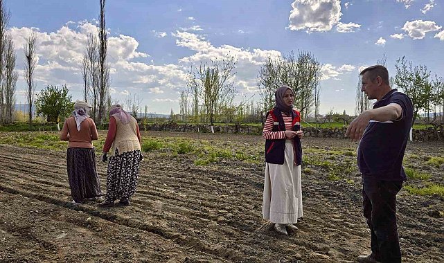 Tarım arazilerinde kontroller sürüyor
