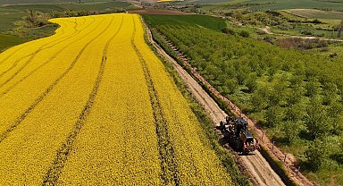 Tarla yolları hasada hazırlanıyor