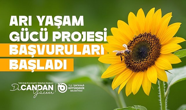 Tekirdağ'da arıcılara yem desteği başvuruları başladı