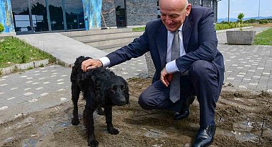 Terme'de sevgi ve merhamet projesi