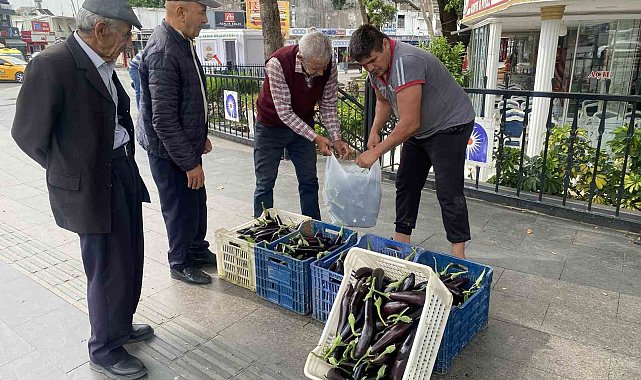 Ürettiği patlıcanlar maliyetini kurtarmayınca serasının kapılarını vatandaşlara açtı