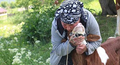 Üzümlü'de yabancı gelin hayvancılığa renk kattı