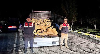 Van'da kaçak avlanan 800 kilo balık ele geçirildi