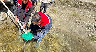 Yığılca'da derelere 50 bin kırmızı benekli alabalık yavrusu bırakıldı