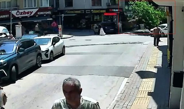 150 yıllık çınar devrildi