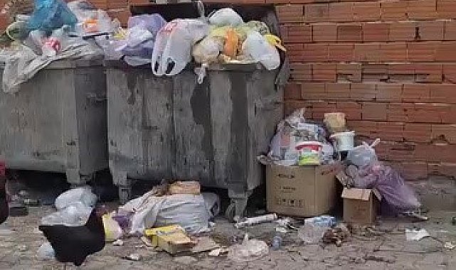 2 haftadır alınmayan çöpler tepki çekti