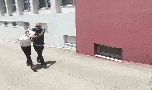 625 kilo bonzai üretilebilecek ham madde ele geçirildi, süphelinin "Düğüne gittim" savunması dikkat çekti