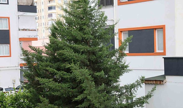 Adana'nın kuzey ilçelerinde kuvvetli rüzgar etkili oldu
