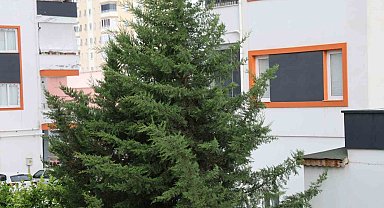Adana'nın kuzey ilçelerinde kuvvetli rüzgar etkili oldu