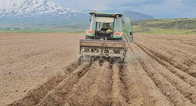 Adilcevaz'da fasulye ekimi başladı