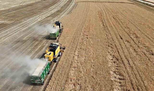 Adıyaman'da hububat hasadı başladı