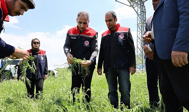 Akyaka'da dolu yağışı tarım arazilerini vurdu: Hasar tespit çalışmaları sürüyor