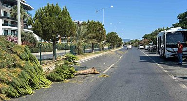 Alanya'da alkollü sürücünün kullandığı midibüs refüjü aşıp karşı şeride geçti