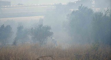 Antalya'da sera ve evleri tehdit eden yangın mahalleliyi korkuttu