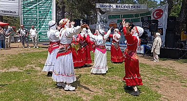 Artvinliler Küçükelmalı Tabiat Parkı'nda buluştu