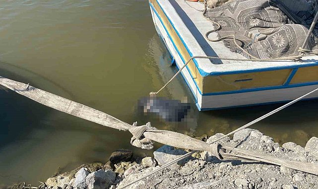 Asi Nehri'nde erkek cesedi bulundu