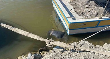 Asi Nehri'nde erkek cesedi bulundu