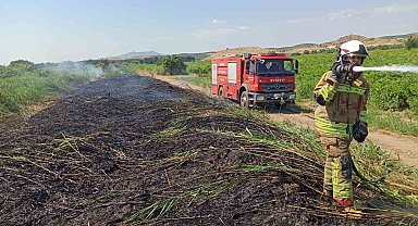 Aşırı sıcaklar Manisa'yı ateş çemberine çevirdi
