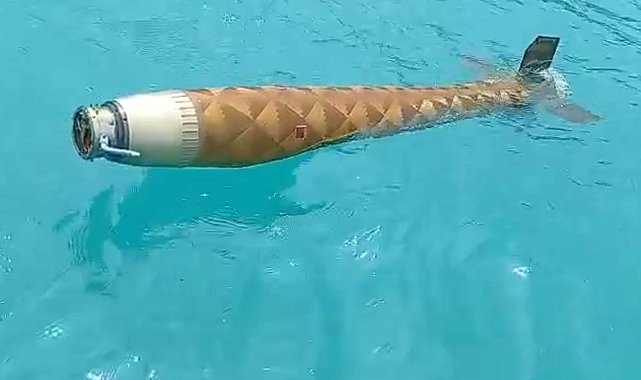 Ayancık açıklarında şüpheli cisim bulundu