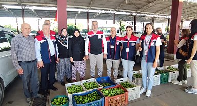 Aydın inciri için denetimler sürüyor
