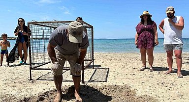 Aydın'da yılın ilk Caretta Caretta yuvası tespit edildi