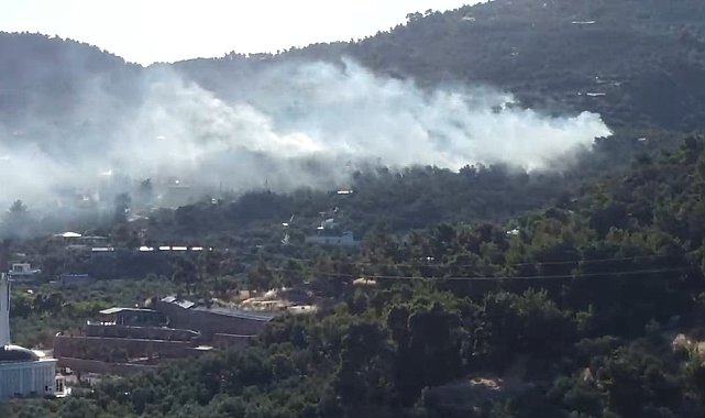 Ayvacık'ta zeytinlik alanda çıkan yangın kontrol altına alındı