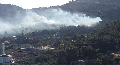 Ayvacık'ta zeytinlik alanda çıkan yangın kontrol altına alındı