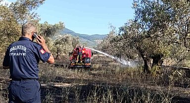 Balıkesir Ziraat Odası Başkanı Demirbay: "Bir yıllık emek bir sigara izmaritiyle kül olmasın"