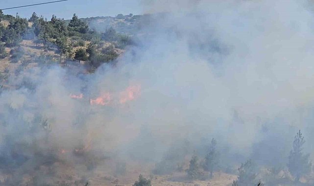 Balıkesir'de otluk ve koruluk alanda yangın