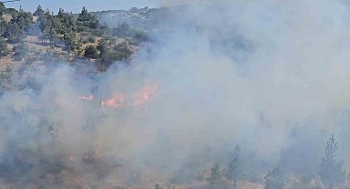Balıkesir'de otluk ve koruluk alanda yangın
