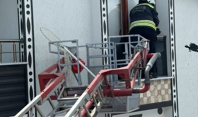 Balkona sıkışan kargayı itfaiye kurtardı