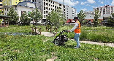 Belediye ekiplerinden yaz temizliği