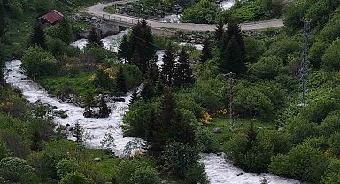 Beyaz örtü kalktı, Rize yaylaları yeşile büründü