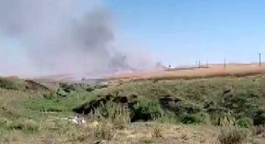 Biçerdöverden çıkan kıvılcım 150 dönümlük alanı kül etti