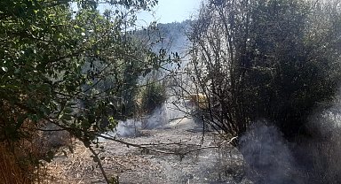 Bilecik'te otluk alanda yangın çıktı