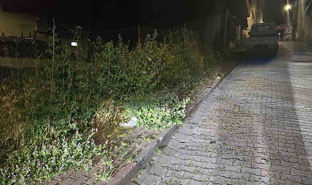Bilecik'te vatandaşlar otlardan kaldırımda yürüyemiyor