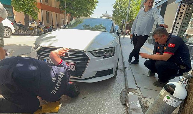 Bir arabadan çıkıp başka arabaların altına giren kedi itfaiyecilere zor anlar yaşattı