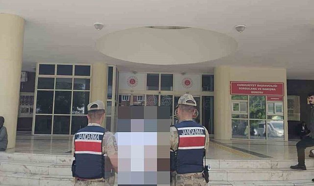 Birecik'te aranan şahıs jandarmaya yakalandı