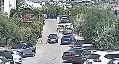 Bodrum'daki köpek davasında sanık beraat etti