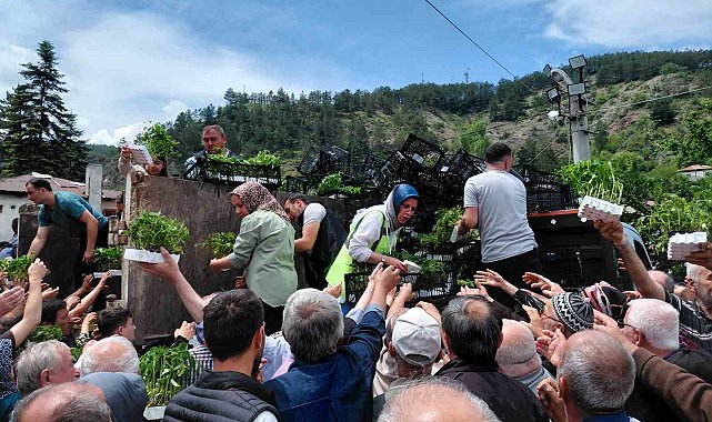Bolu'da ücretsiz fide dağıtımına yoğun katılım