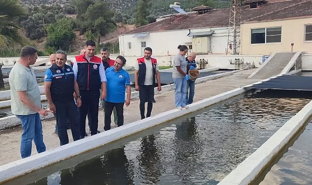Bozdoğan'da su ürünleri üretimi 3 bin 696 tona ulaştı