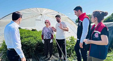 Bozdoğan'da tarımsal üretim sahada değerlendirildi
